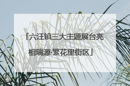 六汪镇三大主题展台亮相瑞源·繁花里街区