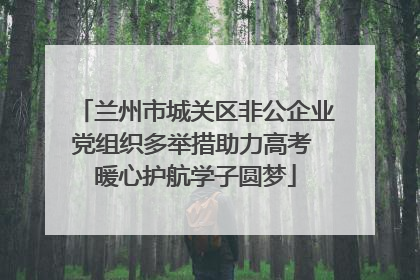 兰州市城关区非公企业党组织多举措助力高考 暖心护航学子圆梦