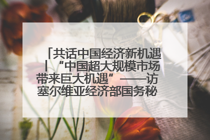 共话中国经济新机遇丨“中国超大规模市场带来巨大机遇”——访塞尔维亚经济部国务秘书尼科利奇