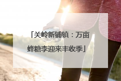 关岭新铺镇：万亩蜂糖李迎来丰收季