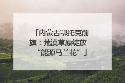 内蒙古鄂托克前旗：荒漠草原绽放“能源马兰花”