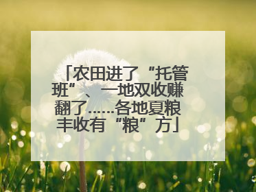 农田进了“托管班”、一地双收赚翻了……各地夏粮丰收有“粮”方