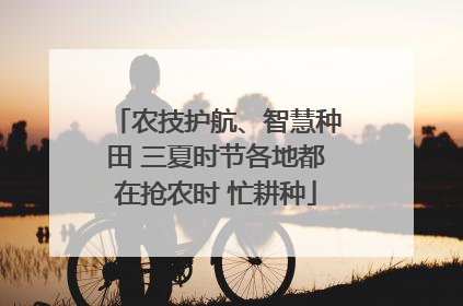 农技护航、智慧种田 三夏时节各地都在抢农时 忙耕种