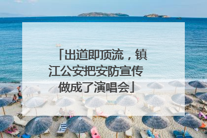 出道即顶流，镇江公安把安防宣传做成了演唱会