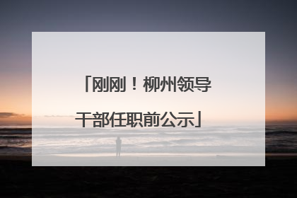 刚刚！柳州领导干部任职前公示