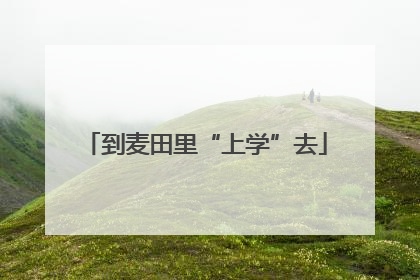 到麦田里“上学”去