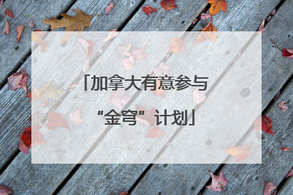 加拿大有意参与“金穹”计划