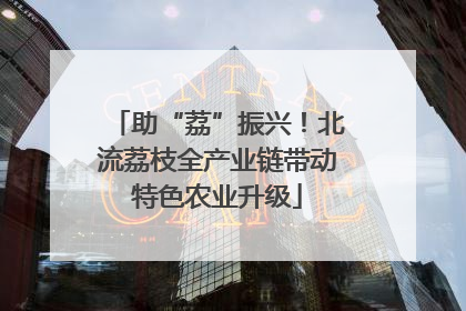 助“荔”振兴！北流荔枝全产业链带动特色农业升级