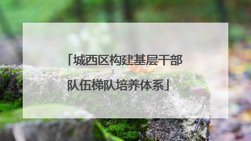 城西区构建基层干部队伍梯队培养体系