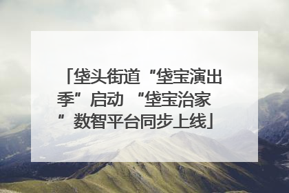 垡头街道“垡宝演出季”启动 “垡宝治家”数智平台同步上线