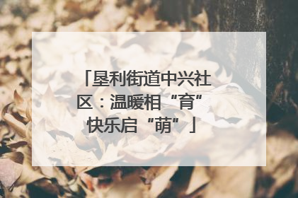 垦利街道中兴社区：温暖相“育” 快乐启“萌”
