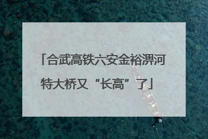 合武高铁六安金裕淠河特大桥又“长高”了