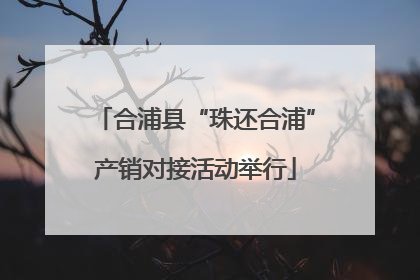 合浦县“珠还合浦”产销对接活动举行