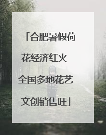 合肥暑假荷花经济红火 全国多地花艺文创销售旺