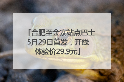 合肥至金寨站点巴士5月29日首发，开线体验价29.9元