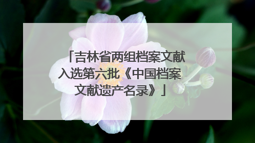 吉林省两组档案文献入选第六批《中国档案文献遗产名录》