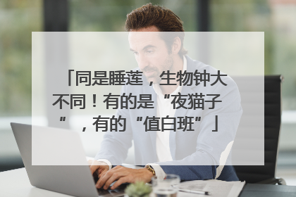 同是睡莲，生物钟大不同！有的是“夜猫子”，有的“值白班”