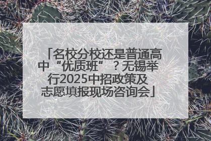 名校分校还是普通高中“优质班”？无锡举行2025中招政策及志愿填报现场咨询会