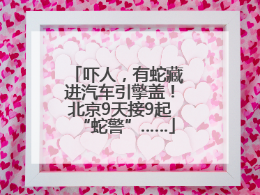 吓人，有蛇藏进汽车引擎盖！北京9天接9起“蛇警”……