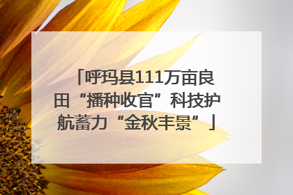 呼玛县111万亩良田“播种收官”科技护航蓄力“金秋丰景”
