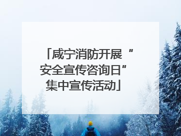 咸宁消防开展“安全宣传咨询日”集中宣传活动