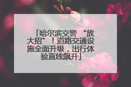 哈尔滨交警 “放大招”！道路交通设施全面升级，出行体验直线飙升