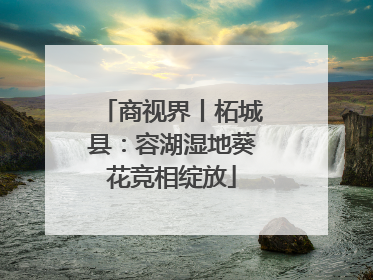 商视界丨柘城县：容湖湿地葵花竞相绽放