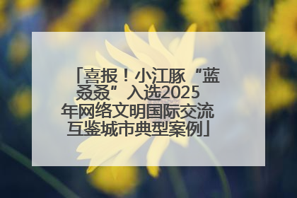 喜报！小江豚“蓝叒叒”入选2025年网络文明国际交流互鉴城市典型案例