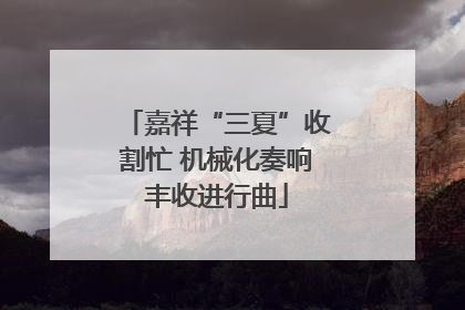 嘉祥“三夏”收割忙 机械化奏响丰收进行曲