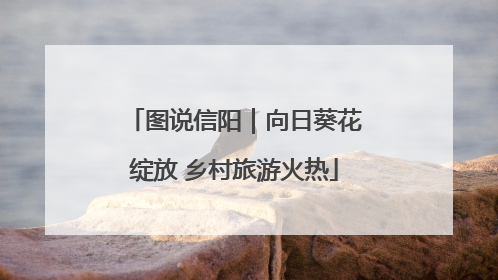 图说信阳｜向日葵花绽放 乡村旅游火热