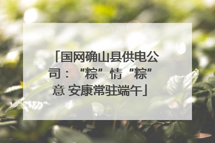 国网确山县供电公司：“粽”情“粽”意 安康常驻端午