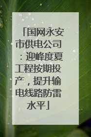 国网永安市供电公司：迎峰度夏工程按期投产，提升输电线路防雷水平