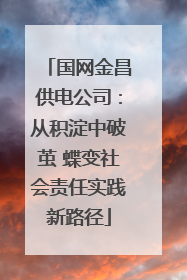 国网金昌供电公司：从积淀中破茧 蝶变社会责任实践新路径