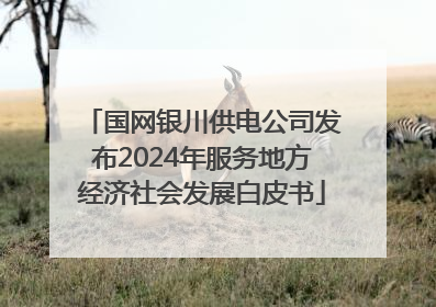国网银川供电公司发布2024年服务地方经济社会发展白皮书