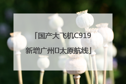 国产大飞机C919新增广州⇌太原航线