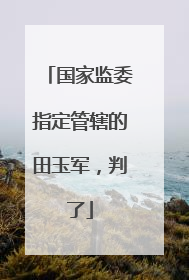 国家监委指定管辖的田玉军，判了
