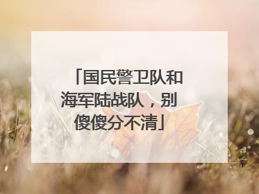 国民警卫队和海军陆战队，别傻傻分不清