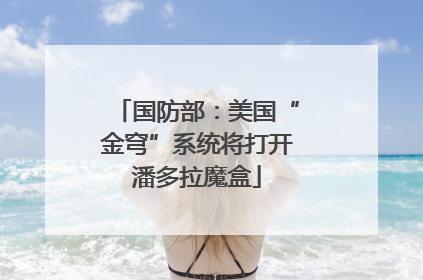 国防部：美国“金穹”系统将打开潘多拉魔盒