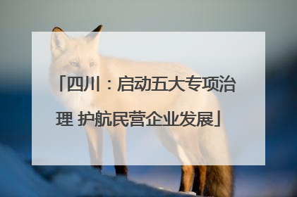 四川：启动五大专项治理 护航民营企业发展