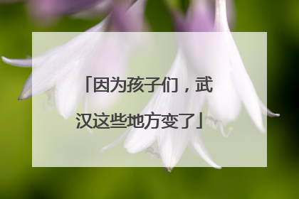 因为孩子们，武汉这些地方变了