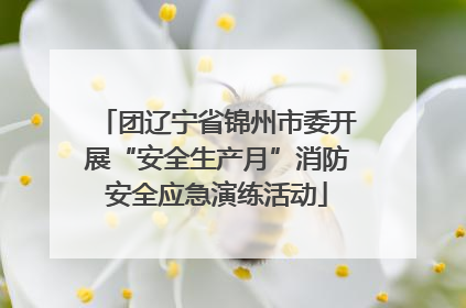 团辽宁省锦州市委开展“安全生产月”消防安全应急演练活动