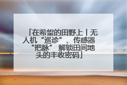 在希望的田野上丨无人机“巡诊”、传感器“把脉” 解锁田间地头的丰收密码