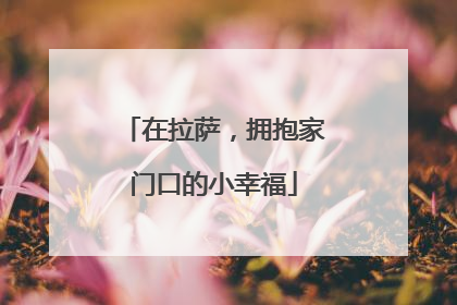 在拉萨,拥抱家门口的小幸福