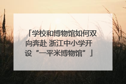 学校和博物馆如何双向奔赴 浙江中小学开设“一平米博物馆”