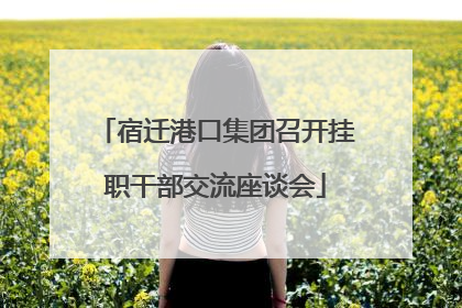宿迁港口集团召开挂职干部交流座谈会