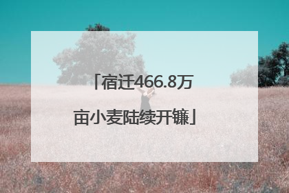 宿迁466.8万亩小麦陆续开镰