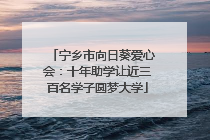 宁乡市向日葵爱心会：十年助学让近三百名学子圆梦大学