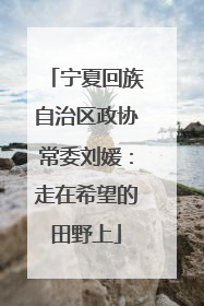 宁夏回族自治区政协常委刘媛：走在希望的田野上