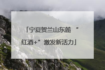宁夏贺兰山东麓 “红酒+”激发新活力