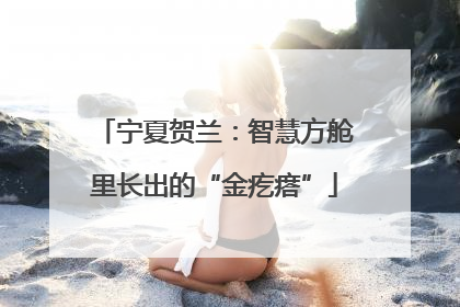 宁夏贺兰：智慧方舱里长出的“金疙瘩”